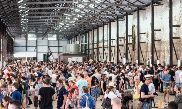 Thumbnail for Pinot Palooza