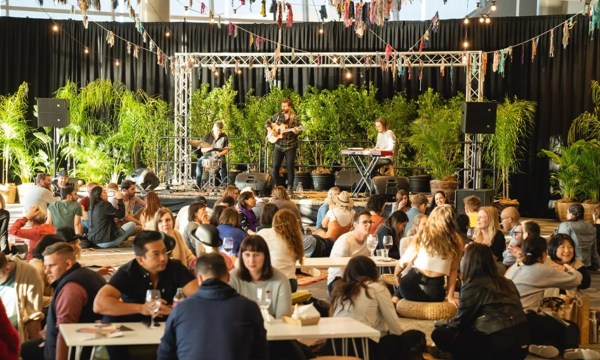 Thumbnail for Knock-off drinks and Saturday vibes