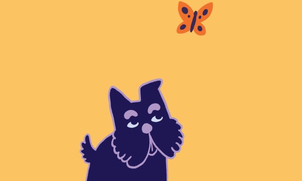 Thumbnail for Find the Wizard of Oz and your way back to the CBD