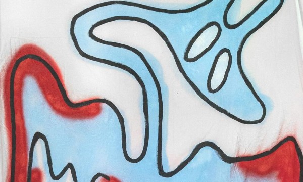 Thumbnail for Embodiment — SALA 2022