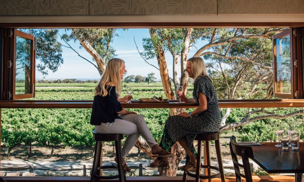 Thumbnail for Drink history at Langhorne Creek