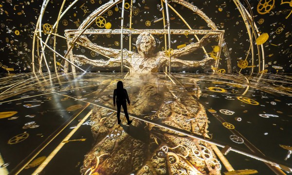 Thumbnail for Wisdom of AI Light