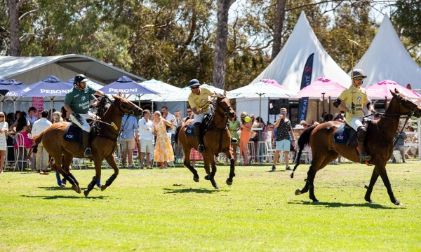 Thumbnail for A day of polo, but not as you know it