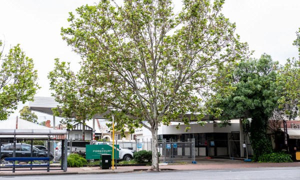 Thumbnail for Hutt Street’s resurgence continues with The Forecourt