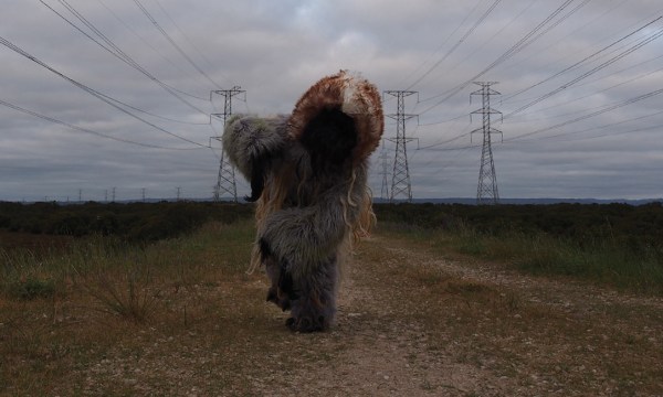 Thumbnail for Sightings