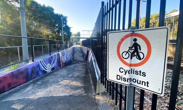 Thumbnail for How a proposed cycling overpass exposed a thorny green divide