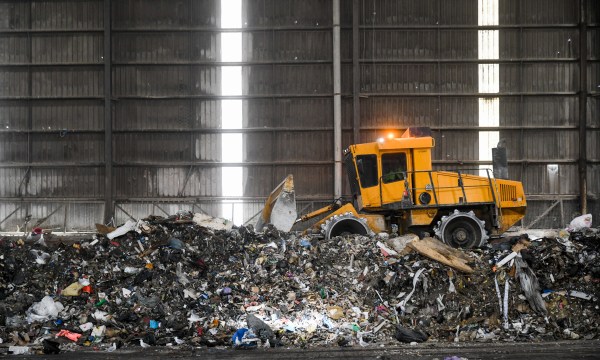 Thumbnail for Where there’s muck, there’s money