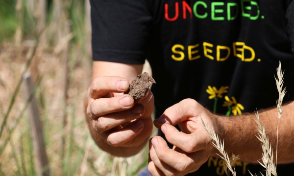 Thumbnail for Harvesting a ‘cultural miracle’