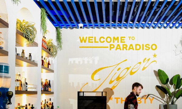 Thumbnail for Thirsty Tiger is Gang Gang all grown up