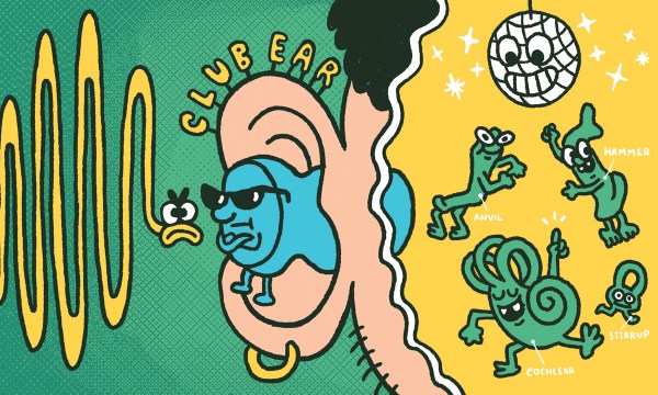 Thumbnail for The inner turmoil of tinnitus