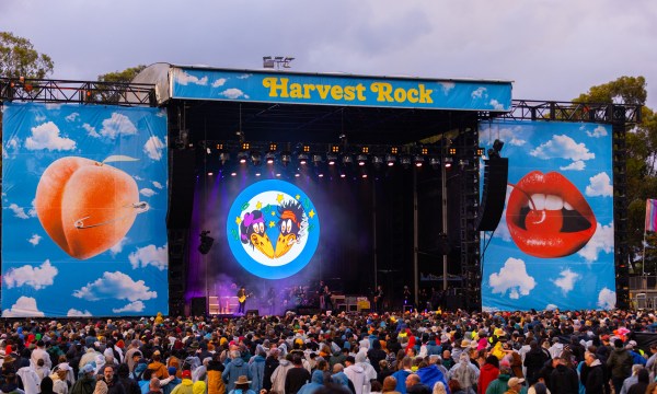 Thumbnail for Harvest Rock returns to city with a side order of road closures