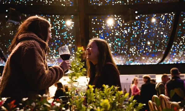 Thumbnail for Cellar Door Fest Winter Edit