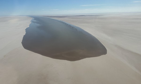 Thumbnail for A natural wonder knocking at our door