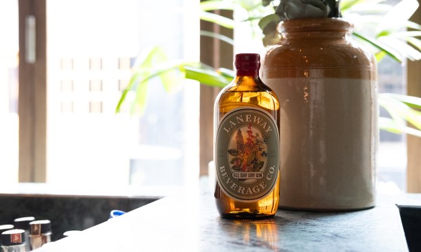 Thumbnail for A crowd-pleasing gin designed at the bar