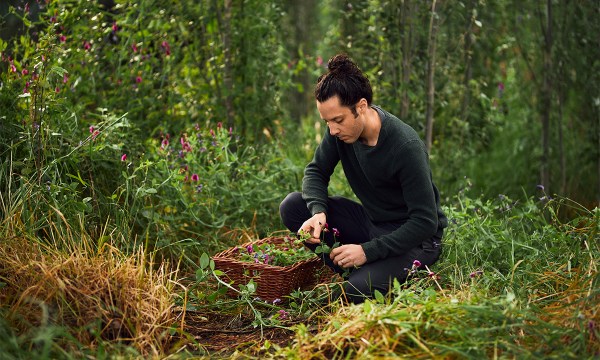 Thumbnail for Feast Forage Fungi in the Adelaide Botanic Gardens