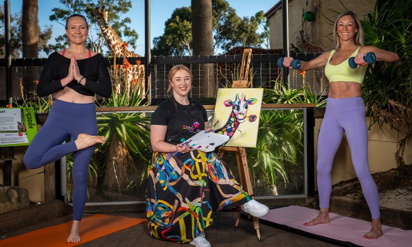 Thumbnail for WellFest Adelaide