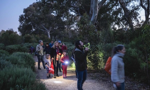Thumbnail for Get outside and explore this year’s Nature Festival