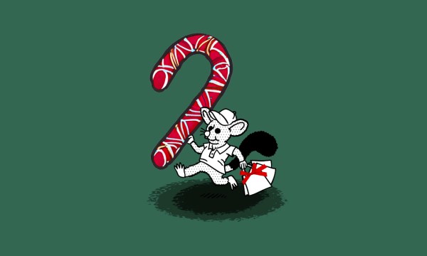 Thumbnail for CityMag’s considerate gift guide
