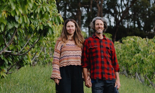 Thumbnail for Hills cherry season off to bumper start in lead-up to JaumaFest