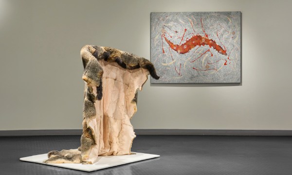 Thumbnail for Saltbush Country