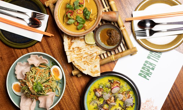 Thumbnail for Paper Tiger burns bright