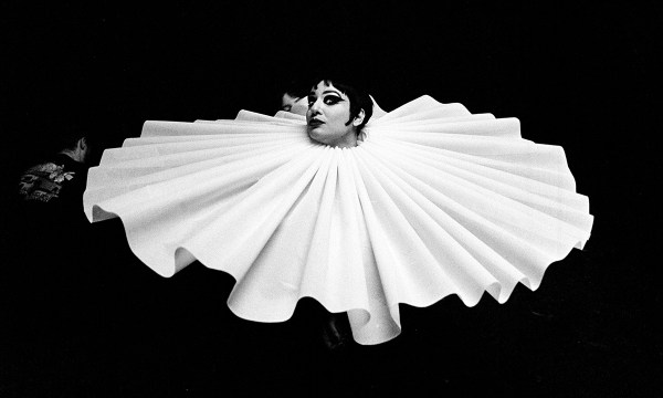 Thumbnail for The Carla Lippis Guide to the Adelaide Fringe