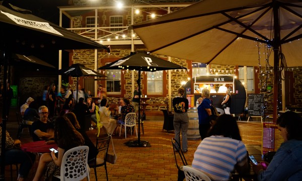 Thumbnail for Migrate to the Courtyard of Curiosities this Fringe season