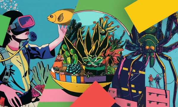 Thumbnail for Firstival takes over libraries this July