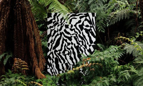 Thumbnail for Nature Festival 2024 is bringing awesome experiences in spades