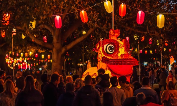 Thumbnail for OzAsia Festival roars into life