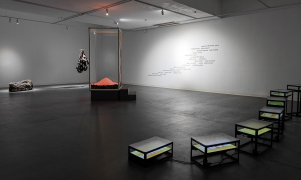 Thumbnail for ‘WATER RITES’ Artist Talks