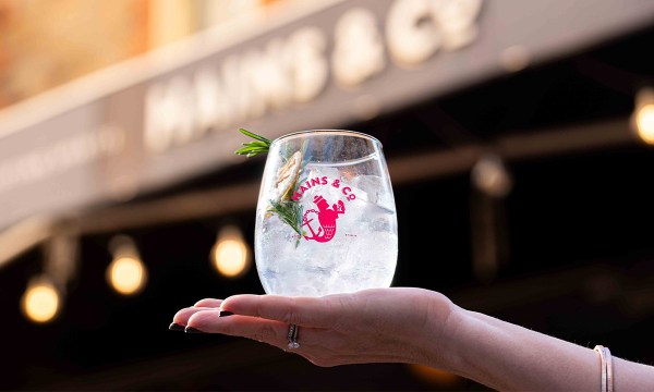 Thumbnail for The city is partying this weekend for World Gin Day