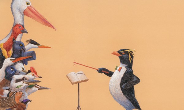 Thumbnail for The Bush Concert by the ASO