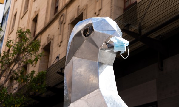 Thumbnail for The City of Adelaide will not provide new financial assistance for last week’s partial lockdown