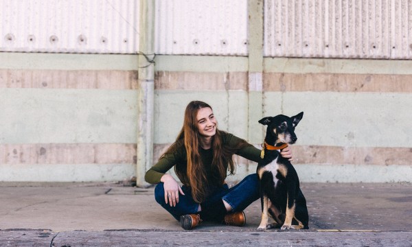 Thumbnail for BB Shoemaker launches dogwear range