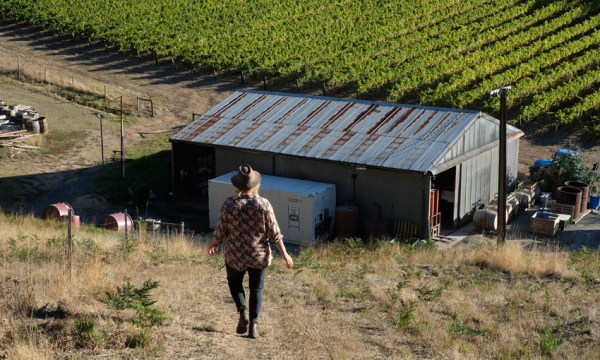 Thumbnail for The making of Basket Range: Part II – The community