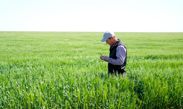 Thumbnail for Barossa Valley Craft Malt: Betting on a bigger beer industry