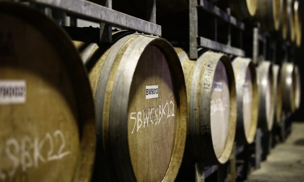 Thumbnail for Sea and Vines