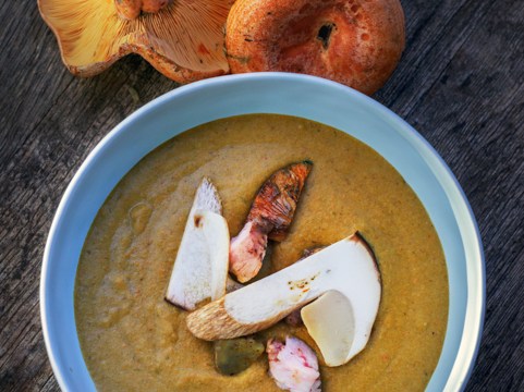 Thumbnail for Forage in the Fields