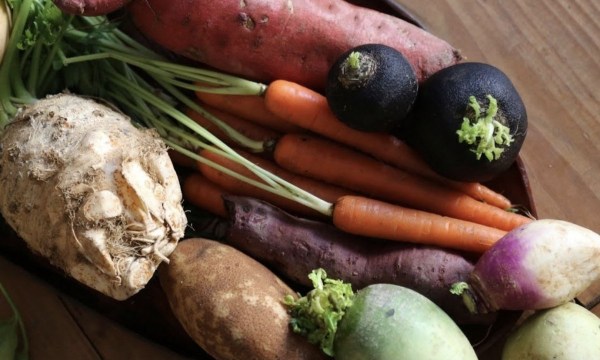 Thumbnail for Botanic Gardens’ Heirloom Weekend