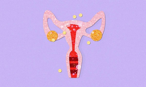 Thumbnail for Endo Days