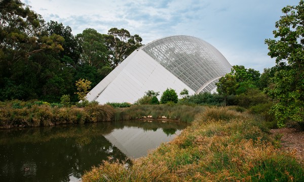 Thumbnail for Meet the developers making the Botanic Gardens home