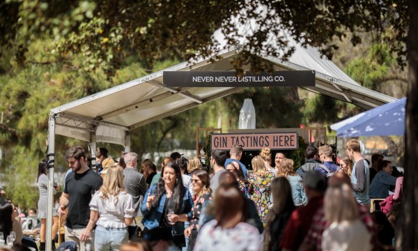 Thumbnail for CheeseFest