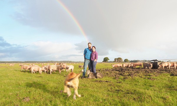 Thumbnail for Next level gains for Skara Smallgoods due to sustainable farming