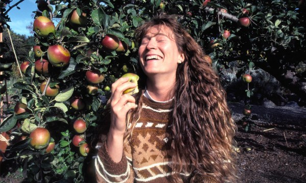 Thumbnail for Transitions Film Festival