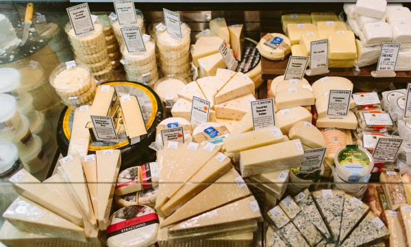 Thumbnail for Cheese Festival