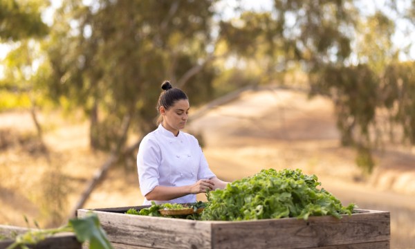 Thumbnail for Food, wine and a little more in the Barossa