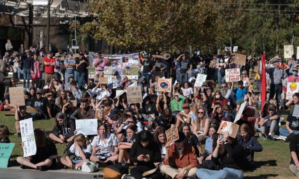 Thumbnail for A festival to unite the many voices calling for climate action