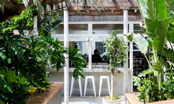 Thumbnail for Comida Cantina launches at Roxie’s Garden Bar & Eatery