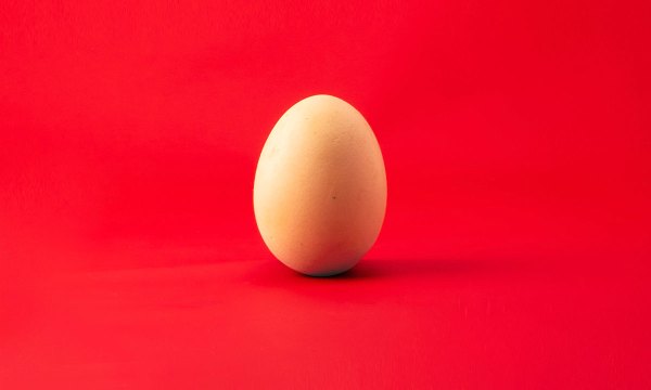 Thumbnail for The Fringe is supposed to be weird